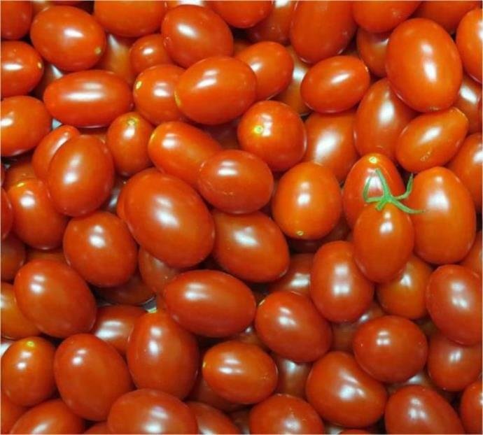 Tomate foi o produto que teve maior infla&ccedil;&atilde;o no per&iacute;odo