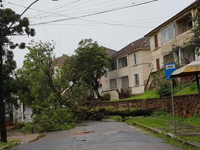Queda de &aacute;rvore bloqueia rua na zona Norte de Porto Alegre