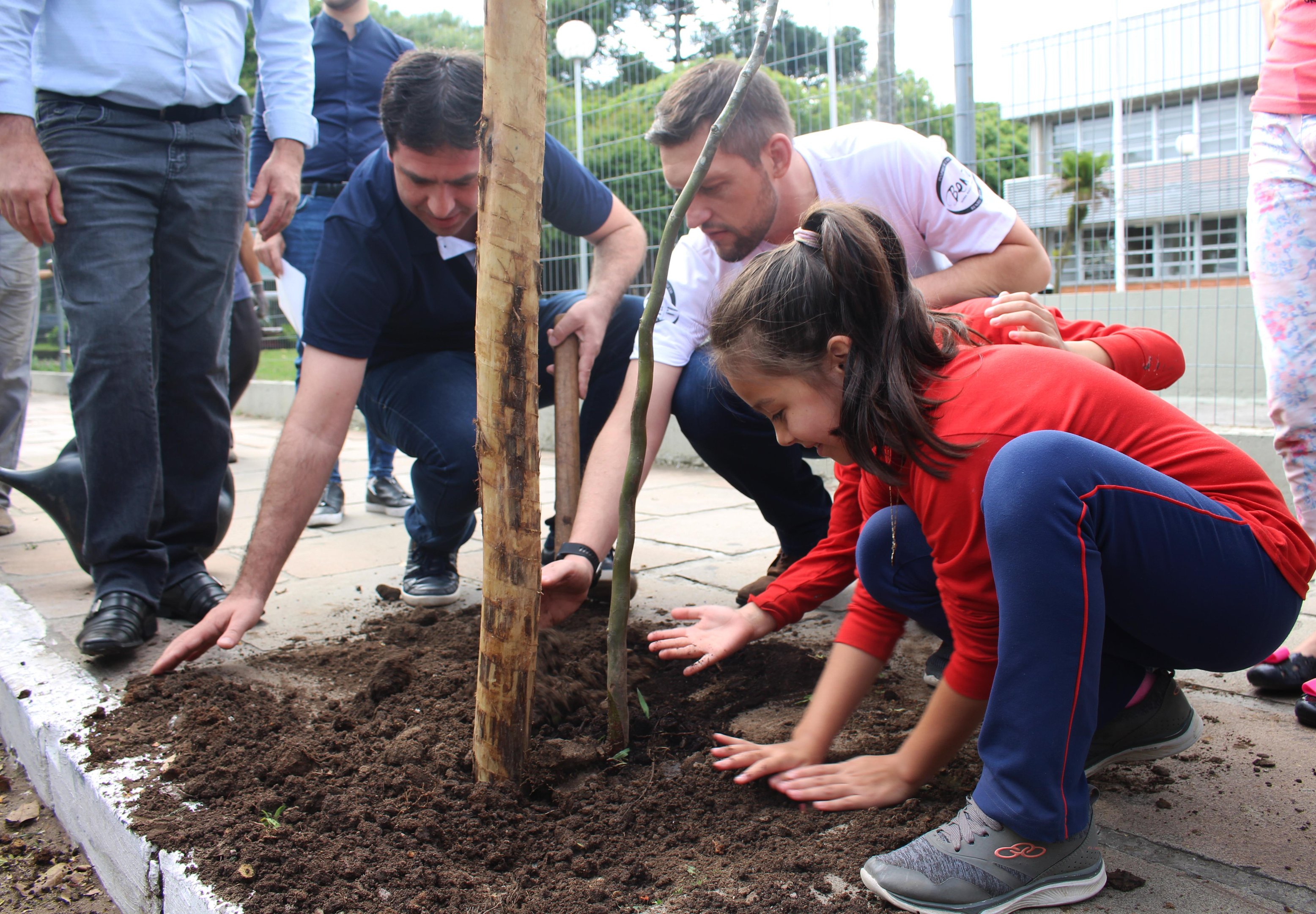 As &aacute;rvores foram colocadas em pontos espec&iacute;ficos, utilizando estacas reflorestadas como guias