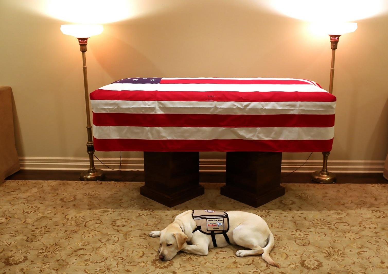 C&atilde;o de companhia estava desde junho com o ex-presidente