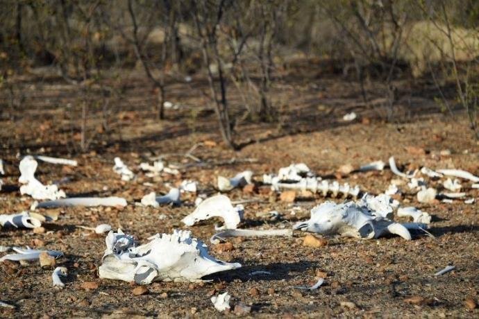 Ano de 2017 foi o campe&atilde;o em perdas relacionadas ao clima