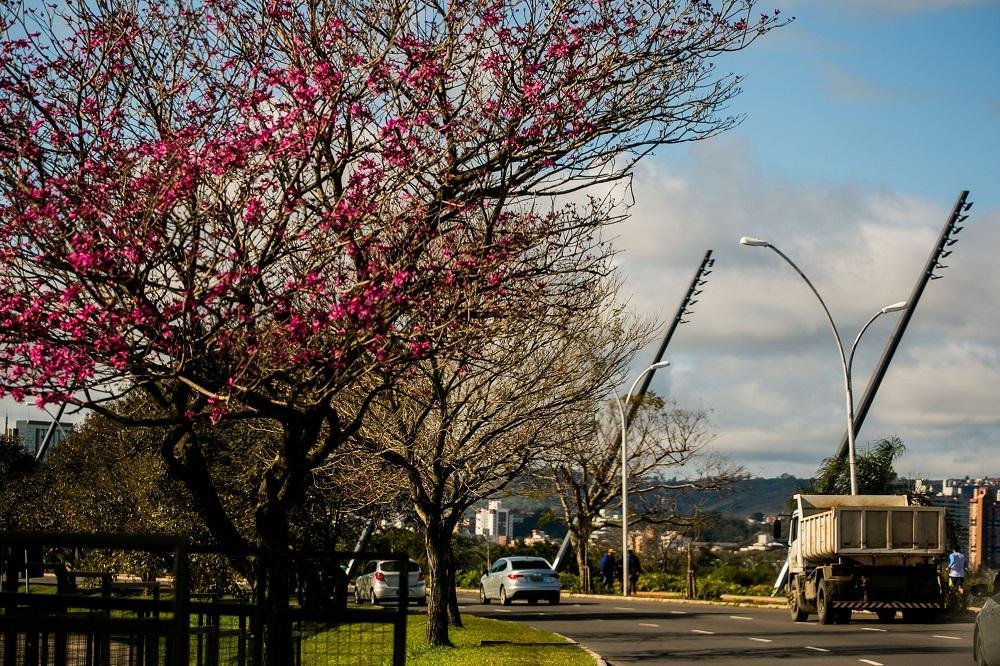 Porto Alegre ter&aacute; sexta com tempo bom e temperaturas amenas