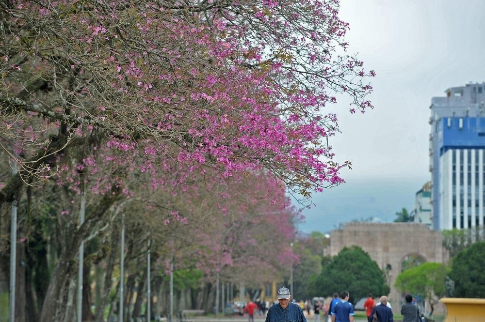 Porto Alegre ter&aacute; temperatura amena neste s&aacute;bado