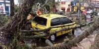 	Em Santana do Livramento, várias árvores foram arrancadas pelo vento e lançadas na via pública