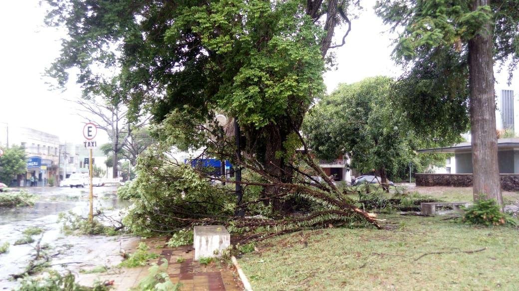 Santana do Livramento foi um dos munic&iacute;pios atingidos pelo temporal