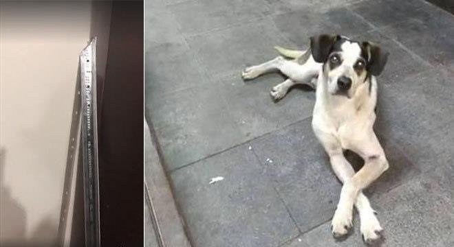 Pol&iacute;cia apontou seguran&ccedil;a como autor da morte Manchinha