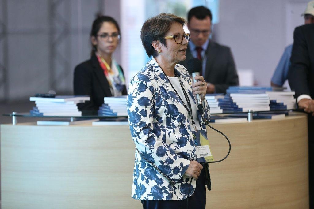 Futura ministra diz que o modelo atual limita a autonomia dos empres&aacute;rios