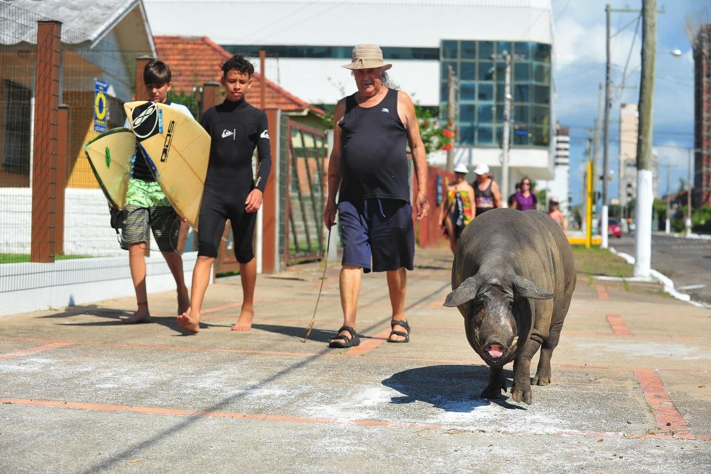 Porco de estima&ccedil;&atilde;o chama aten&ccedil;&atilde;o de veranistas em Tramanda&iacute; 