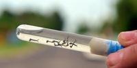 Chuva e calor formam o ambiente propício para a proliferação do Aedes