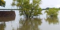 A cheia do rio Uruguai deixa quatro pessoas desabrigadas