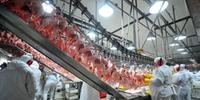 Arábia Saudita habilita 25 exportadores brasileiros de carne de frango