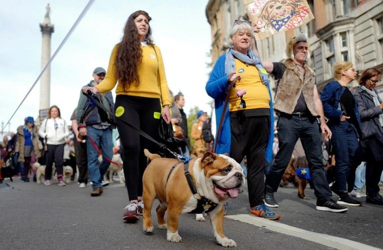 Manifestantes e seus companheiros de quatro patas marcharam no centro da capital brit&acirc;nica