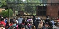 Zoológico de Sapucaia deverá ser concedido à iniciativa privada