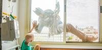 Super-heróis apareceram nas janelas dos quartos para felicidade dos pequenos pacientes