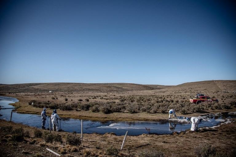 Derramamento ocorreu de uma usina da argentina YPF, localizada no setor industrial de Cullen