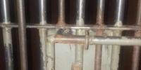 Detentos quebraram os cadeados das celas 