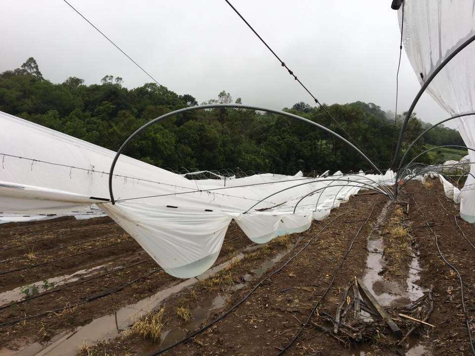 Preju&iacute;zos s&atilde;o contabilizados no interior de Flores da Cunha