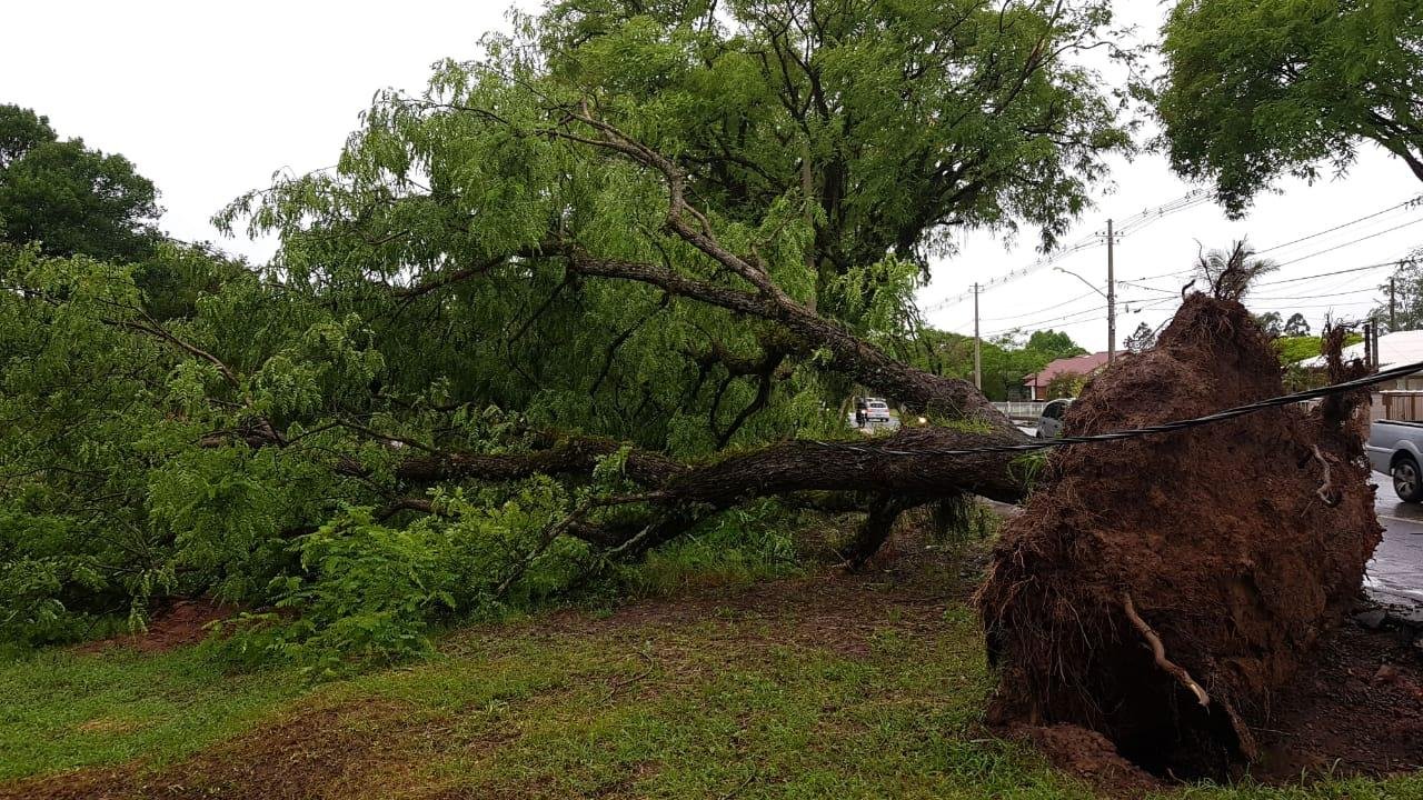 Santa Cruz do Sul teve muitos estragos por causa do temporal