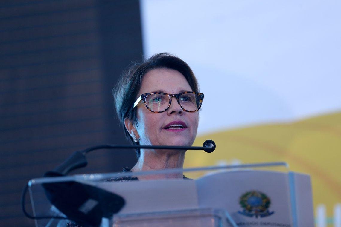 Tereza Cristina foi indicada para o Minist&eacute;rio da Agricultura