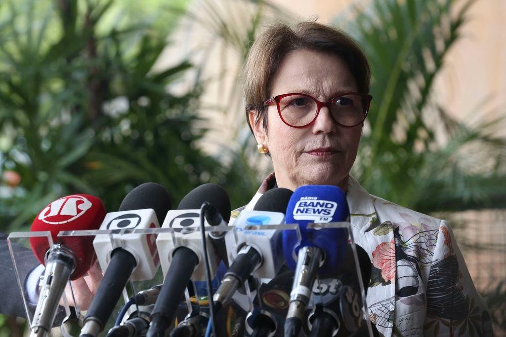 Tereza Cristina disse que sua inten&ccedil;&atilde;o &eacute; come&ccedil;ar o trabalho nas primeiras horas desta segunda-feira