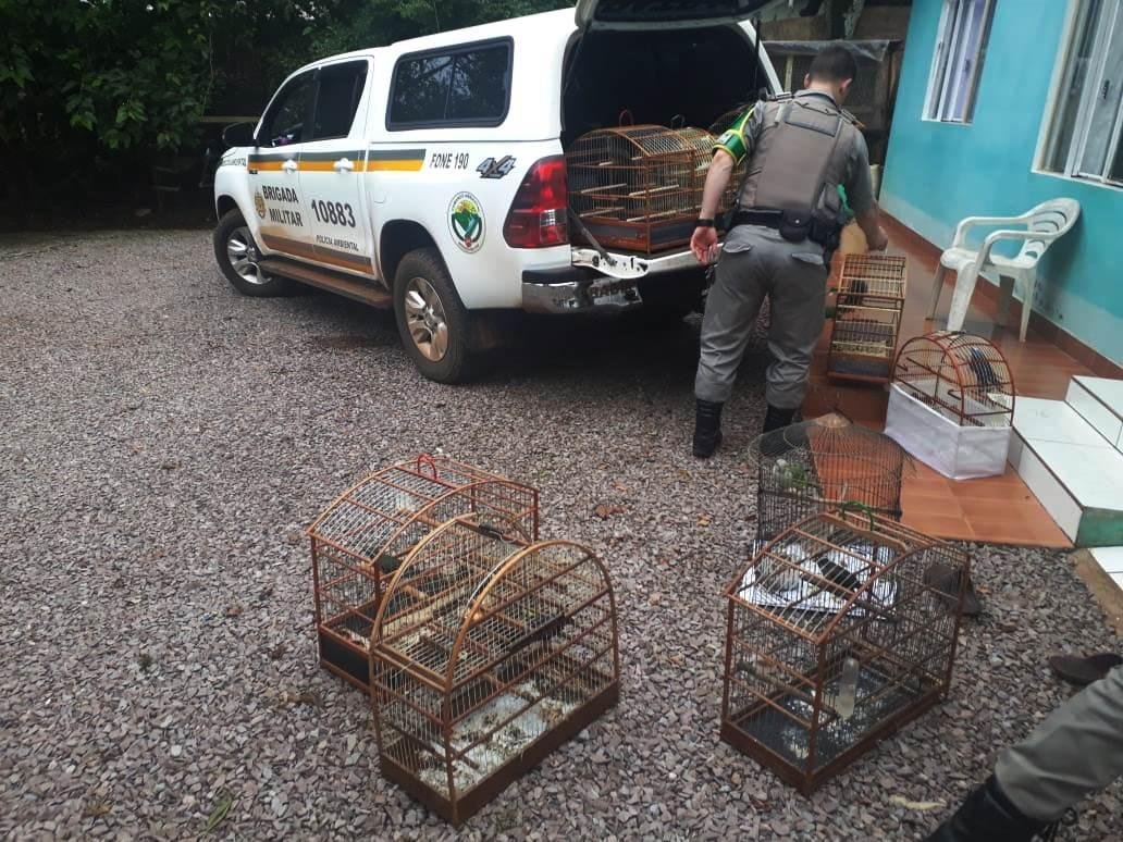 Policiais localizaram os p&aacute;ssaros ap&oacute;s den&uacute;ncia an&ocirc;nima