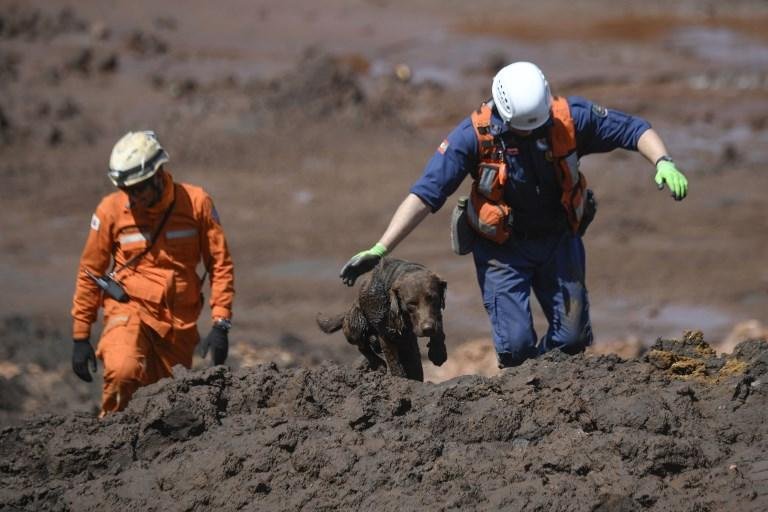 Bombeiros passam a usar m&aacute;quinas pesadas no 8&ordm; dia de buscas em Brumadinho  