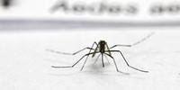 Mais 88 municípios receberão recursos para vigilância da dengue