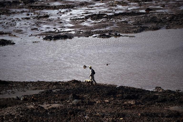 Doa&ccedil;&otilde;es da Vale a pol&iacute;ticos somaram R$ 82 milh&otilde;es em 2014
