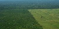 Código Florestal prevê que proprietários de terra no bioma têm de preservar 80% de florestas dentro de suas terras na chamada Reserva Legal