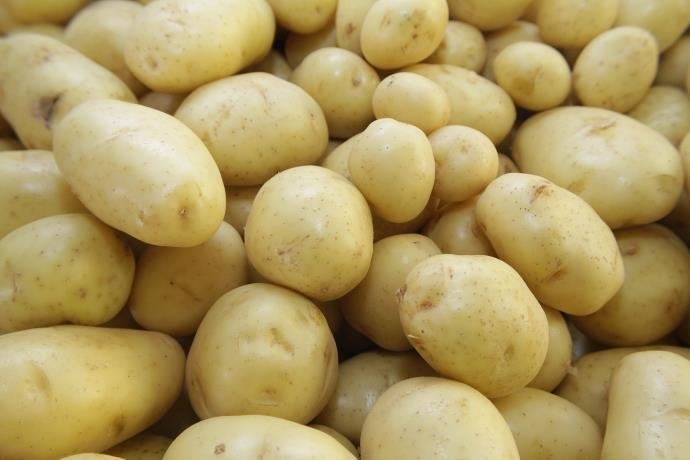 Segundo pesquisa, a batata teve o valor aumentado em nove das dez cidades do Centro-Sul
