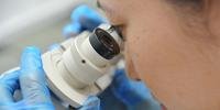 Vírus foi detectado em vigilância de rotina