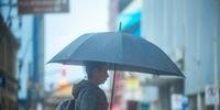Defesa Civil aponta que estão previstas chuvas volumosas de até 50 milímetros por dia até terça-feira