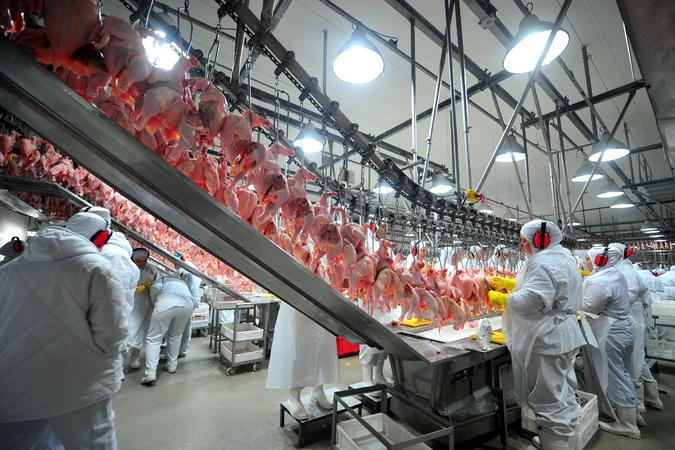 &ldquo;O momento &eacute; delicado e requer muita coopera&ccedil;&atilde;o e programas efetivos de apoio&rdquo;, destacou o presidente da Organiza&ccedil;&atilde;o Av&iacute;cola do RS.