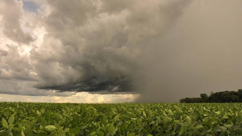 "O agricultor da regi&atilde;o sul, ao saber da tend&ecirc;ncia de chuvas, pode ficar mais seguro, j&aacute; que teve frustra&ccedil;&otilde;es nas &uacute;ltimas duas safras", destaca o professor Felipe Pilau da ESALQ/USP.