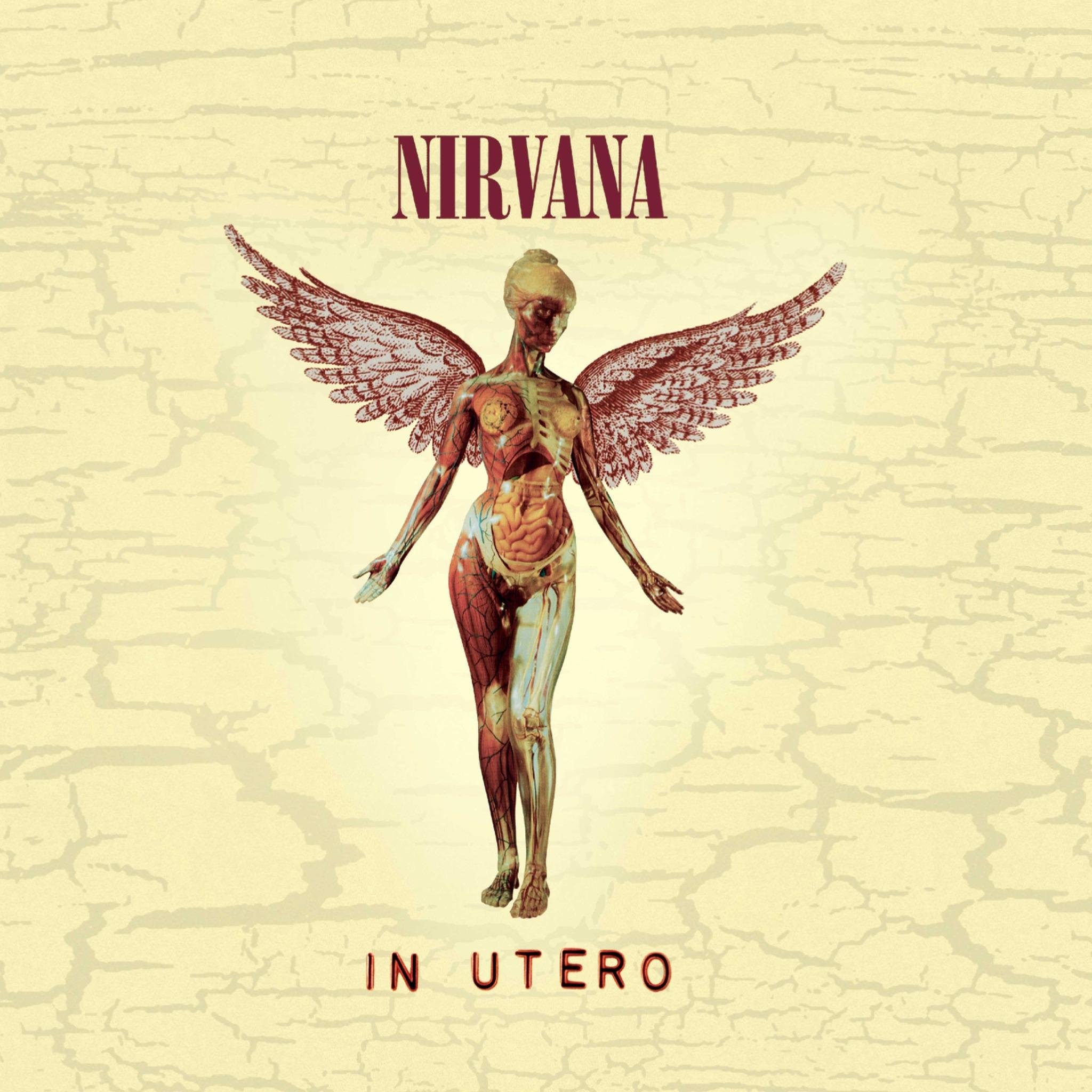Disco foi concebido para ser uma resposta barulhenta e anticomercial ao antecessor "Nevermind"