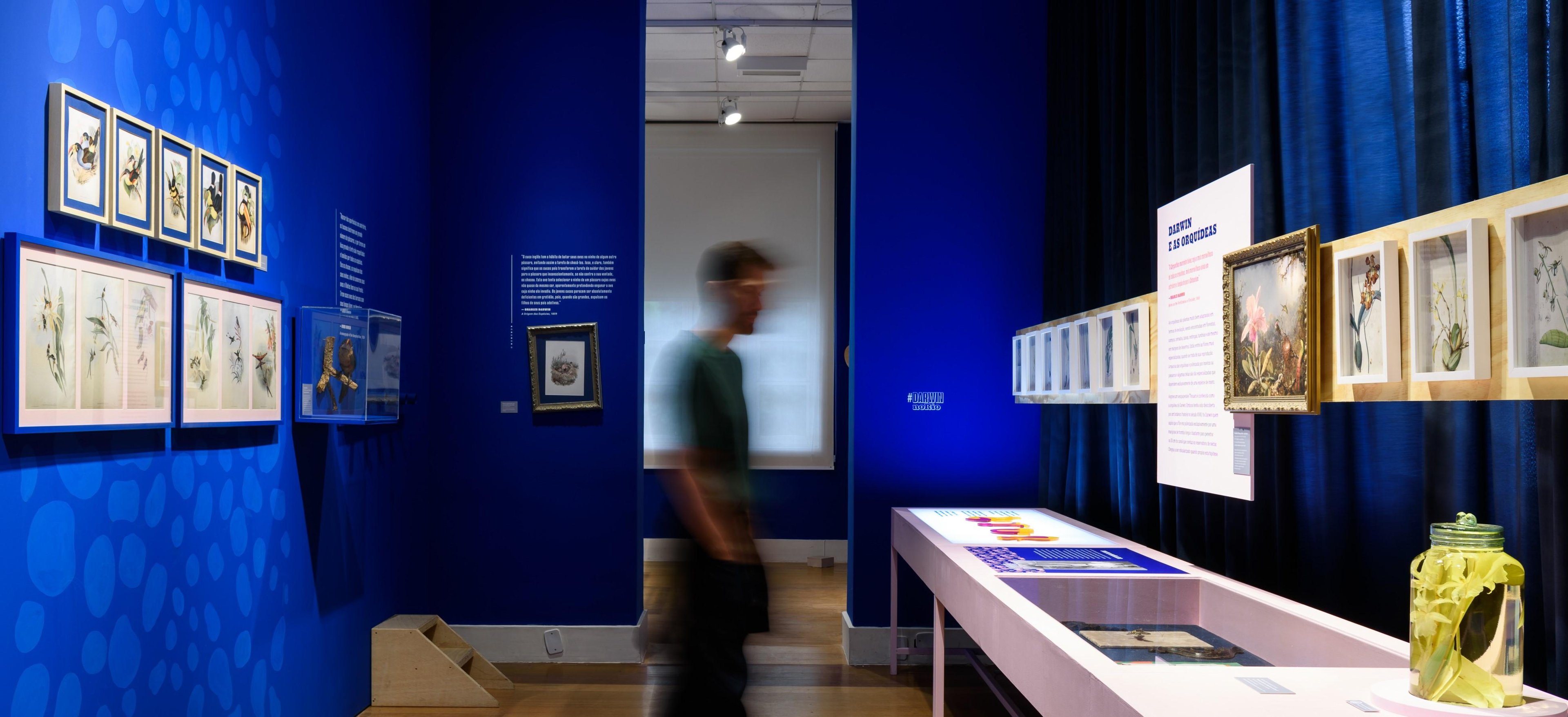Exposi&ccedil;&atilde;o re&uacute;ne 332 pe&ccedil;as entre acervos de cole&ccedil;&otilde;es biol&oacute;gicas,  gravuras hist&oacute;ricas, textos cr&iacute;ticos, iconografia, obras de arte e pe&ccedil;as interativas