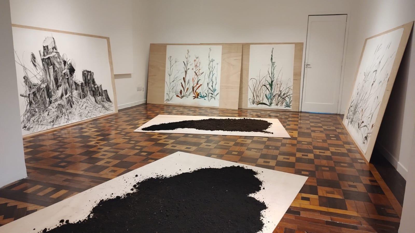 A exposi&ccedil;&atilde;o &lsquo;a terra &eacute; tudo de certo modo&rsquo; aborda quest&otilde;es da natureza