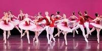 A AAB - Academia Americana de Ballet - Escola de Excelência de Verão seleciona candidatos