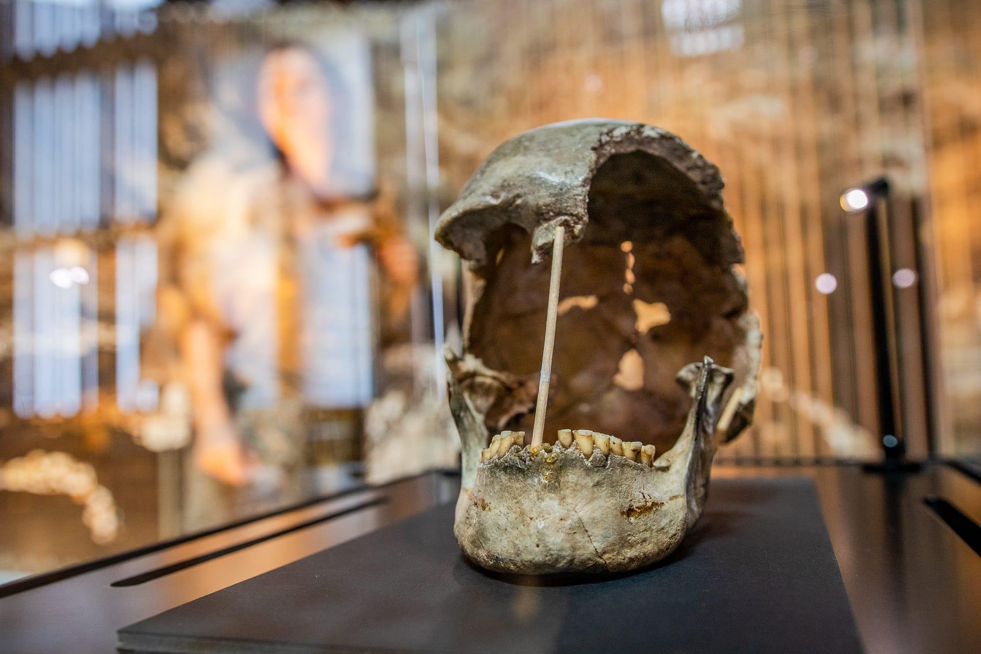 Pesquisadores compararam bases de dados de DNA com genoma do ser humano moderno mais antigo da Europa