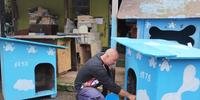 O amor pelos animais é o que motiva o vigilante Felipe Meireles a não desistir do projeto Casinhas Azuis, que constrói casas para cachorros de rua