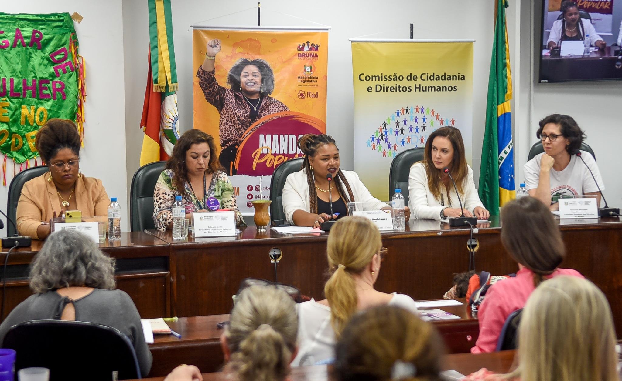 Audi&ecirc;ncia foi proposta na Comiss&atilde;o de Direitos Humanos pela deputada Bruna Rodrigues