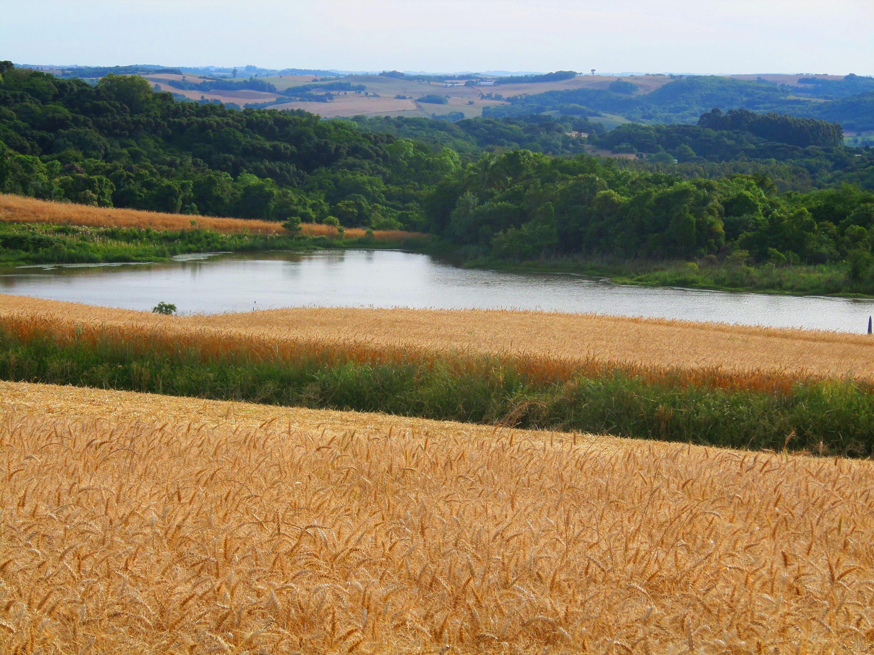 Estado vai apresentar propostas para mitiga&ccedil;&atilde;o de gases de efeito estufa e produ&ccedil;&atilde;o de alimentos em agricultura de baixo carbono