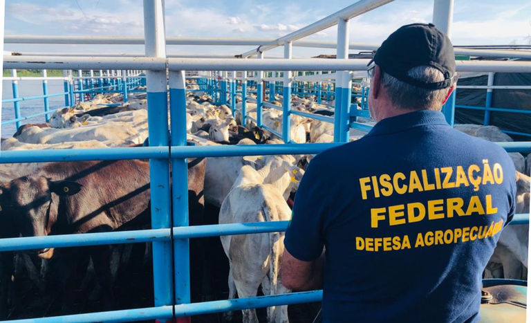 Iniciativa federal combate tr&acirc;nsito e com&eacute;rcio irregular de animais, vegetais, produtos e insumos agropecu&aacute;rios