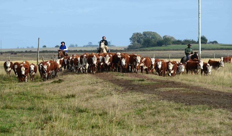 Agropecu&aacute;ria foi a grande respons&aacute;vel pela redu&ccedil;&atilde;o de vagas