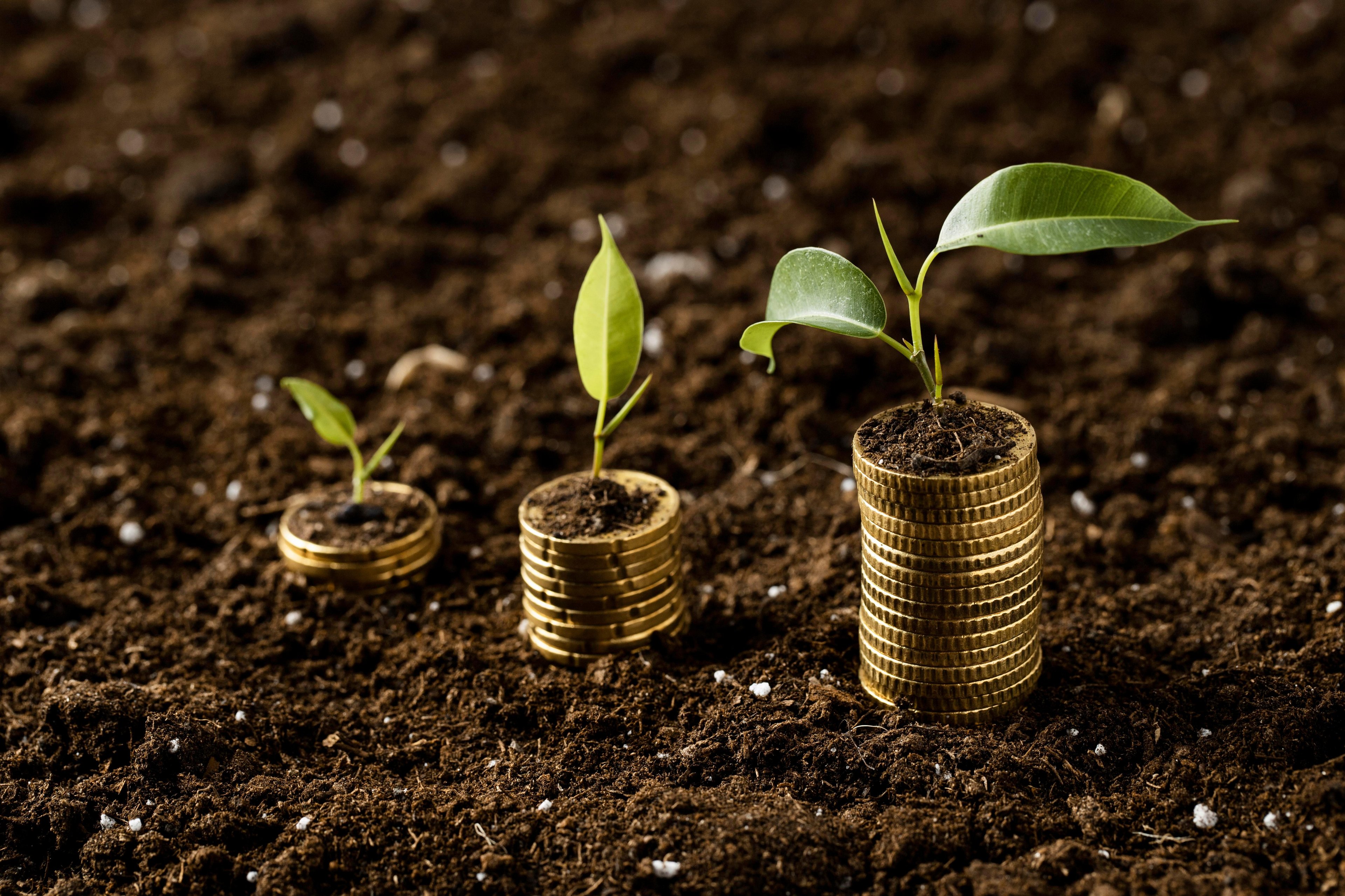 Mercado espera fechar 2023 com taxa de 11,75% ao ano