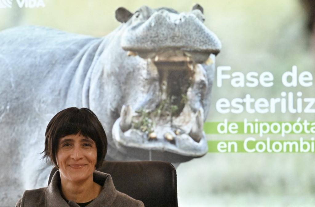 Animais est&atilde;o se reproduzindo sem controle, alegou a ministra do Ambiente do pa&iacute;s