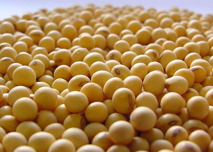 Soja &eacute; um dos destaques no ranking de produtos brasileiros