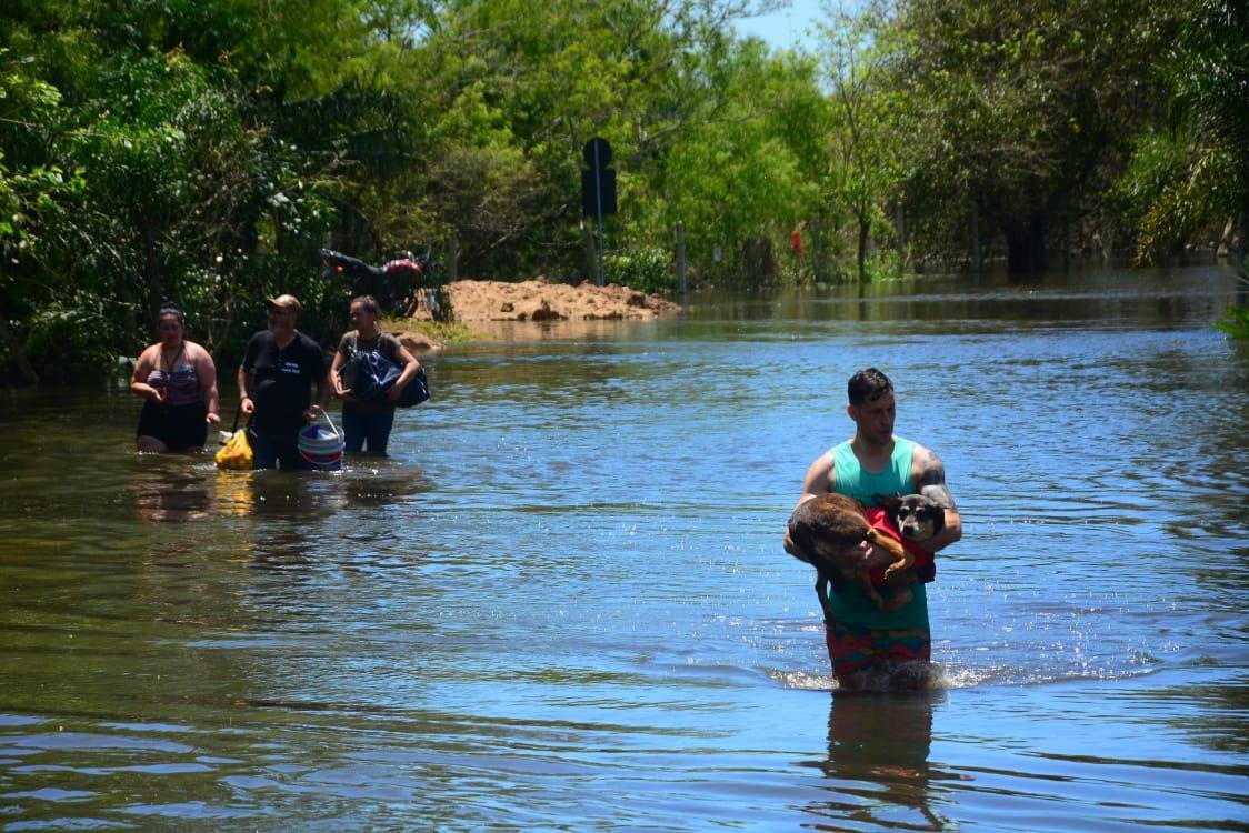 Na regi&atilde;o das ilhas, foram resgatados 80 c&atilde;es. Os animais s&atilde;o levados para a Unidade de Sa&uacute;de Animal Victoria (USAV), na Lomba do Pinheiro.