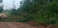 A localidade de Faxinal foi atingida pelo temporal. Árvores caíram interrompendo estradas