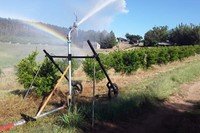 Citrus Viegas , propriedade rural de Pareci Novo que investe em sistemas de irrigação.